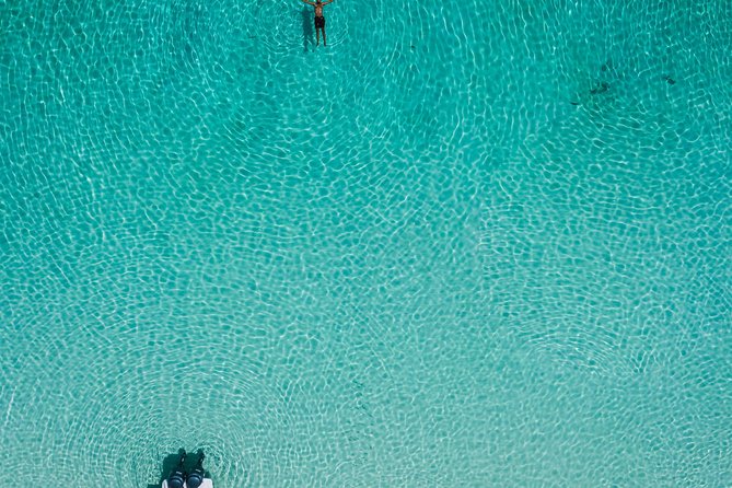 Bluefinn242 Swim with the Turtles in Nassau Bahamas - A fast boat ride from Nassau to Turtle Island