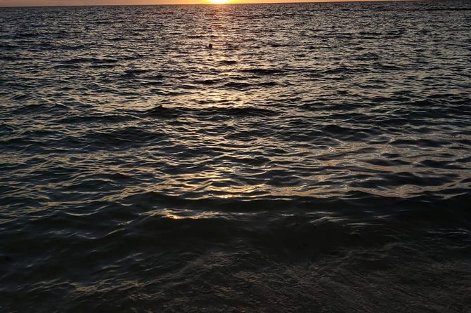 Bluefinn242 Swim with the Turtles in Nassau Bahamas - About an hour in the water, then beach time