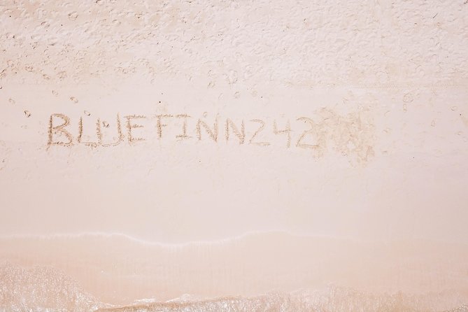 Bluefinn242 Swim with the Turtles in Nassau Bahamas - Family suitability and water comfort