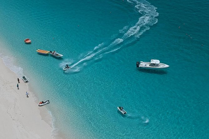 Bus for a Day (Shore Excursion) - Key points to know before booking