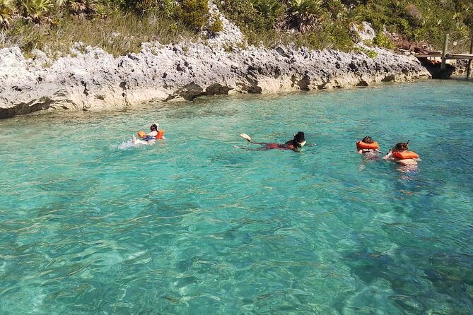 Catamaran Snorkel & Beach Day with Turtles - What the $110 price covers