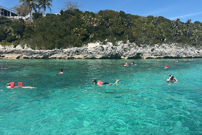 Catamaran Snorkel & Beach Day with Turtles - The important booking risk