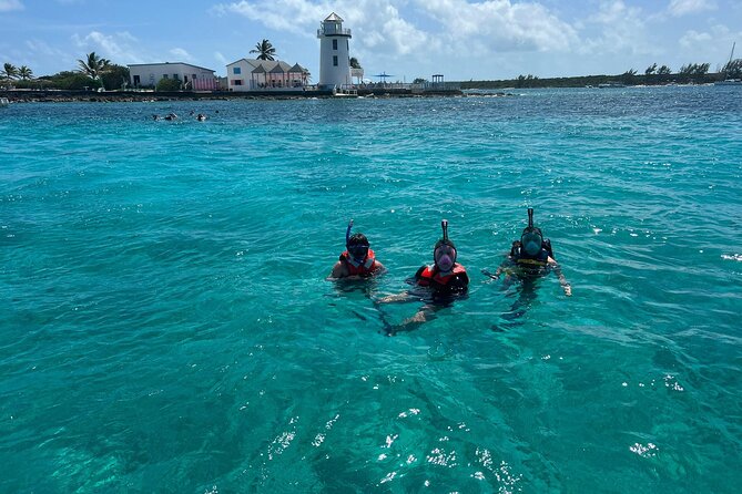 Catamaran Snorkel & Beach Day with Turtles - Nassau Harbour sets the scene