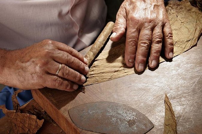 Cigar Rolling Lesson in Nassau - Practical Details That Matter on the Day