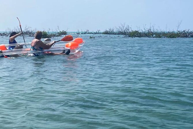 Clear Kayak Tour - Inside Grand Bahama’s Mangrove Waterways