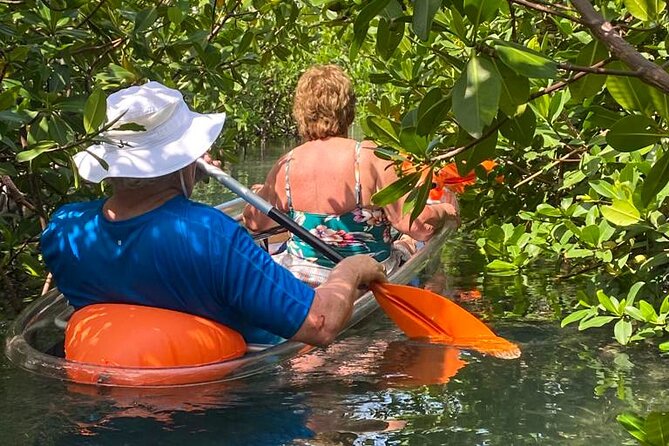 Clear Kayak Tour - Who Will Enjoy This Most?