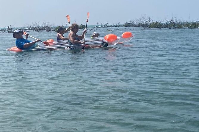 Clear Kayak Tour - Should You Book the Clear Kayak Tour?