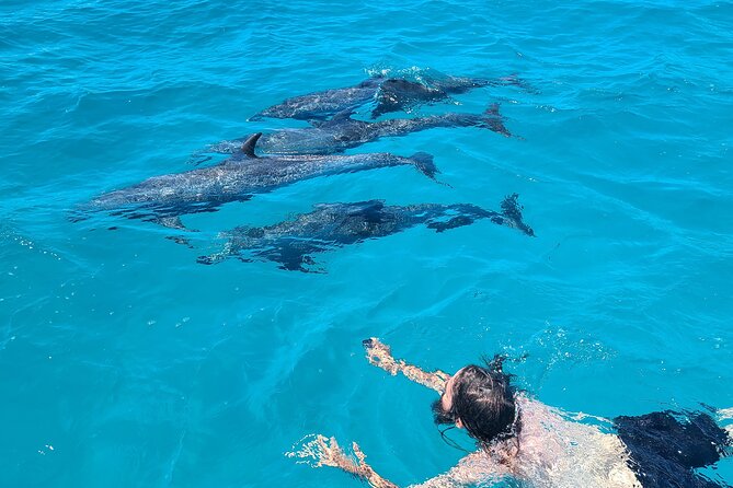 Create-Your-Own Luxury Adventure in Bimini with photographer - Four hours to shape your own Bimini day