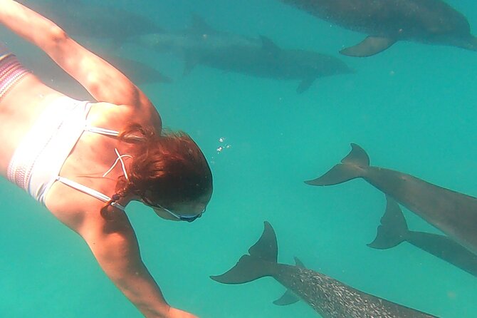 Create-Your-Own Luxury Adventure in Bimini with photographer - What the $1,300 price really means