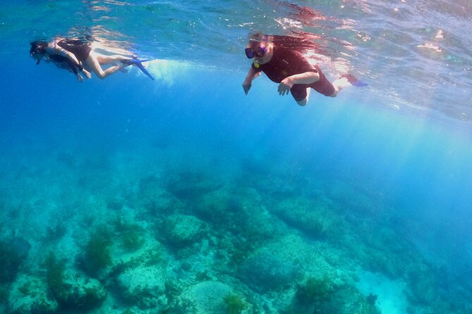Create-Your-Own Luxury Adventure in Bimini with photographer - Searching for wild bottlenose and spotted dolphins