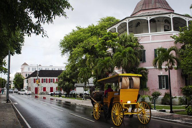 Dilly Dally Walking Tour of Nassau Attractions - Government House and Rawson Square