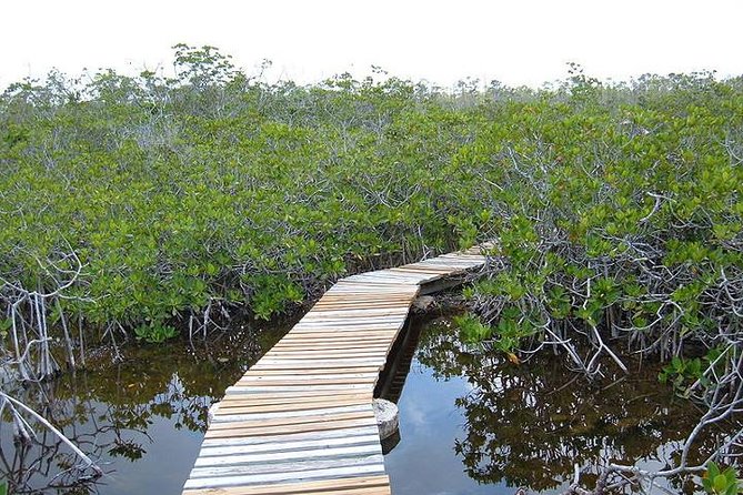East End Private Day Trip Experience Tour - What kind of Grand Bahama day is this?