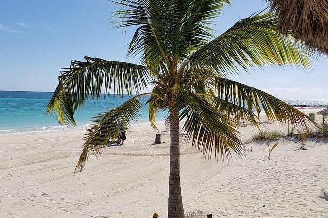 East End Private Day Trip Experience Tour - Taino Beach, conch salad, and a taste of daily life