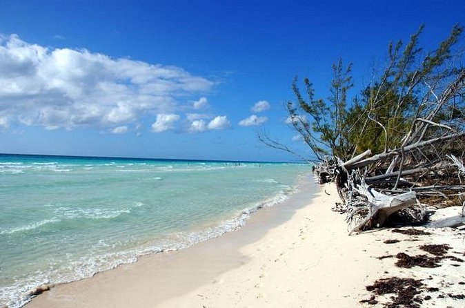 East End Private Day Trip Experience Tour - Lucayan National Park and two hours at Gold Rock Beach