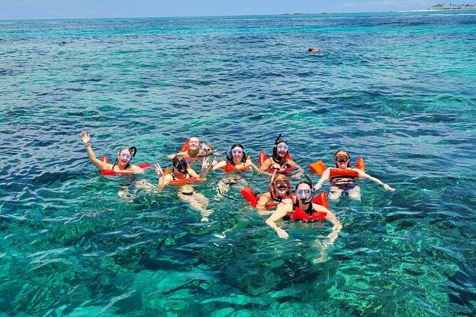 Exotic half day private charters to Rose Island, Pigs and Turtles - Leaving Nassau from East Bay Street