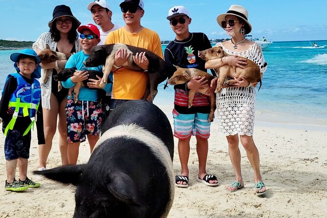 Exotic half day private charters to Rose Island, Pigs and Turtles - Drinks, snacks, and lunch: what your price really covers