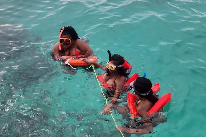 Exotic half day private charters to Rose Island, Pigs and Turtles - Timing, weather, and practical details