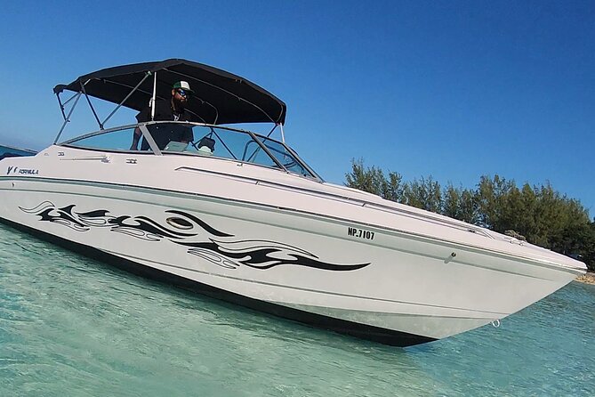 Exotic half day private charters to Rose Island, Pigs and Turtles - Rose Island brings beach time and open water
