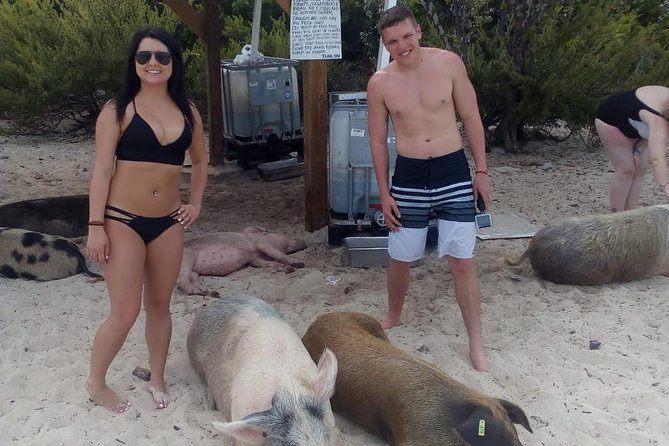 Exuma Day Away - Original Swimming Pigs Excursion - Compass Cay and the nurse sharks