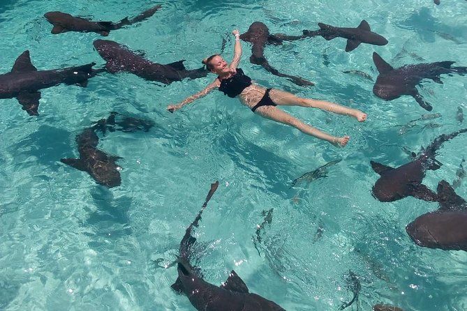 Exuma Day Away - Original Swimming Pigs Excursion - Pig Beach at Big Majors Cay