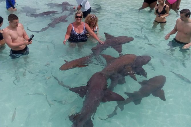 Exuma Day Away - Original Swimming Pigs Excursion - Sandbars, the sea park, and a famous wreck