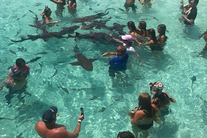 Exuma Day Away - Original Swimming Pigs Excursion - Price, group size, and overall value