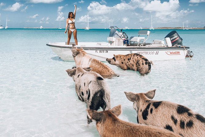 Exuma Elite Escape: Luxury Fly-In Pig Beach Adventure - 7 Stops - The essential facts at a glance
