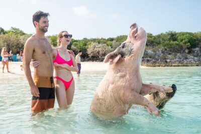 Exuma Elite Escape: Luxury Fly-In Pig Beach Adventure – 7 Stops