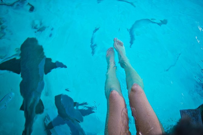 Exuma Elite Escape: Luxury Fly-In Pig Beach Adventure - 7 Stops - Staniel Cay adds a proper meal