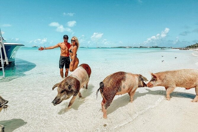Exuma Full Day Swimming Pigs Group Boat Tour - Key points before you book