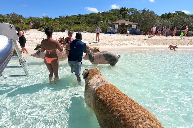 Exuma Full Day Swimming Pigs Group Boat Tour - A long Nassau-to-Exuma day on the water