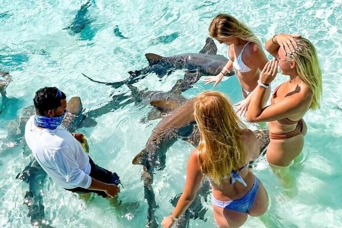 Exuma Full Day Swimming Pigs Group Boat Tour - Compass Cay and the nurse sharks