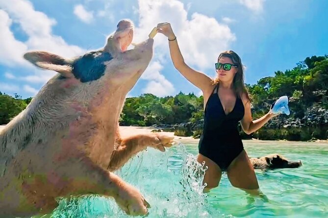 Exuma Island and Cays Tour - Big Major Cay and the Swimming Pigs