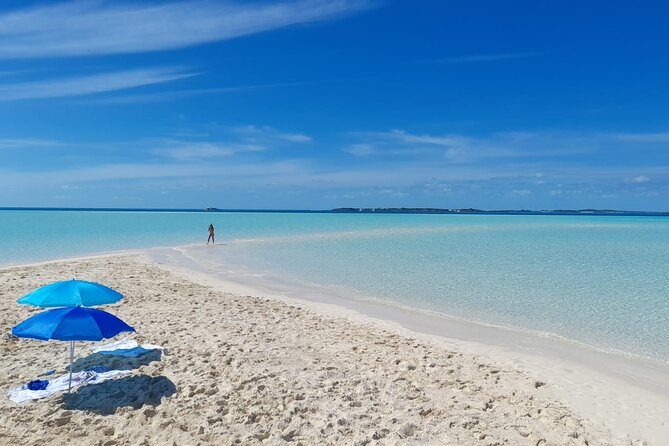 Exuma Island Hopping Swimming Pigs Tour with Lunch from Nassau - Swimming with nurse sharks at Compass Cay