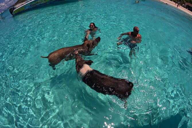 Exuma Island Hopping Swimming Pigs Tour with Lunch from Nassau - Bahamian lunch at Great Exuma