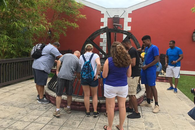 Flavors of Nassau Food Tour - Walking and Dietary Details to Consider