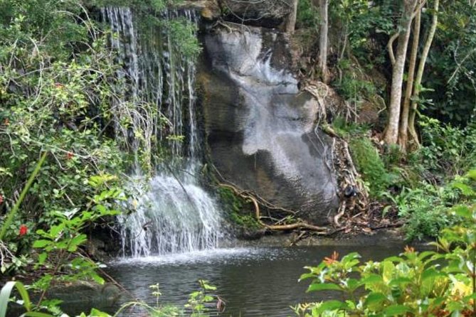 Freeport Shore Excursion: Garden of the Groves and City Tour - Four details to know before booking