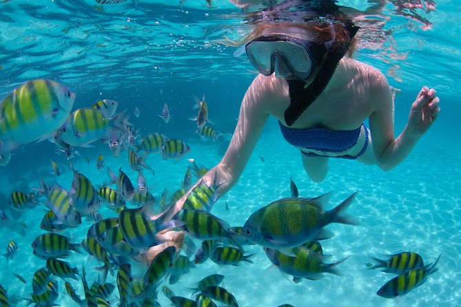 Freeport Snorkeling Peterson Cay National Park and Hotel Day Pass - Key things to know before you book
