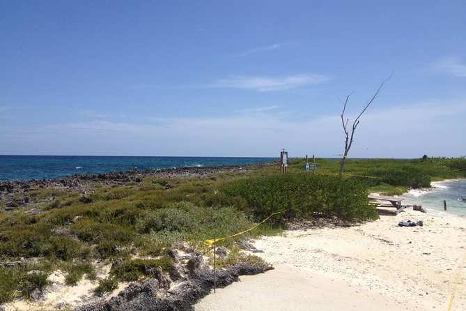 Freeport Snorkeling Peterson Cay National Park and Hotel Day Pass - What the guide adds to the experience