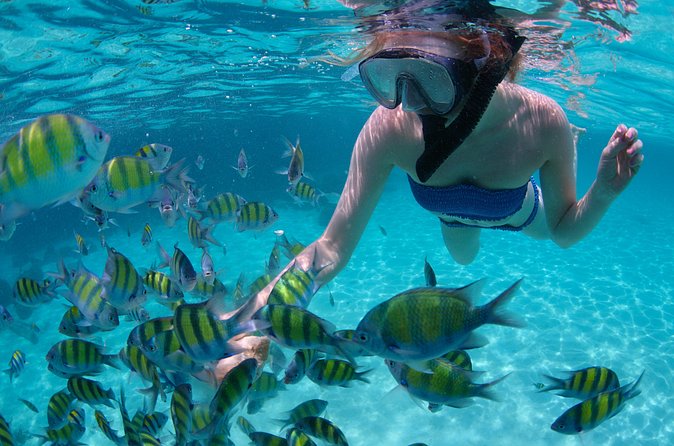 Freeport Snorkeling Peterson Cay National Park and Hotel Day Pass - Who will enjoy this Freeport outing most?
