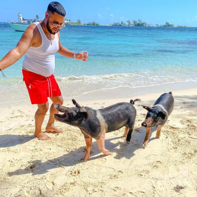From Nassau: Swim with Pigs Safari - Why This Nassau Boat Trip Works