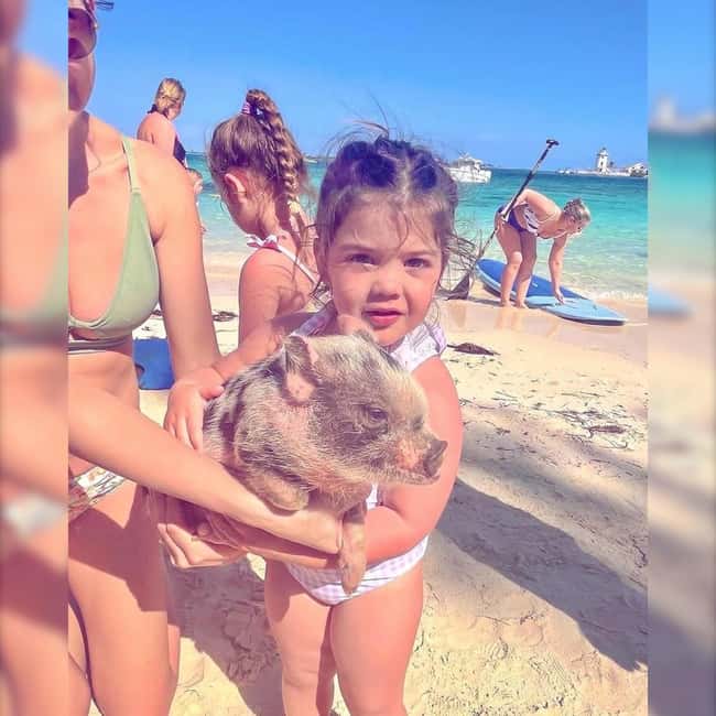 From Nassau: Swim with Pigs Safari - Pig Beach and the Swimming Pigs