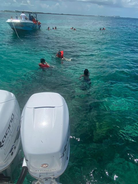 From Nassau: Swim with Pigs Safari - Is $140 to $175 a Fair Price?