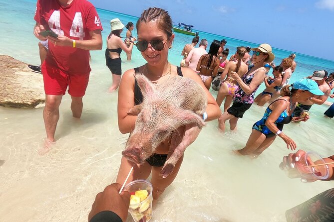 Full-Day Luxury Private Rose Island Pigs and Turtles Excursion - Key things to know before booking