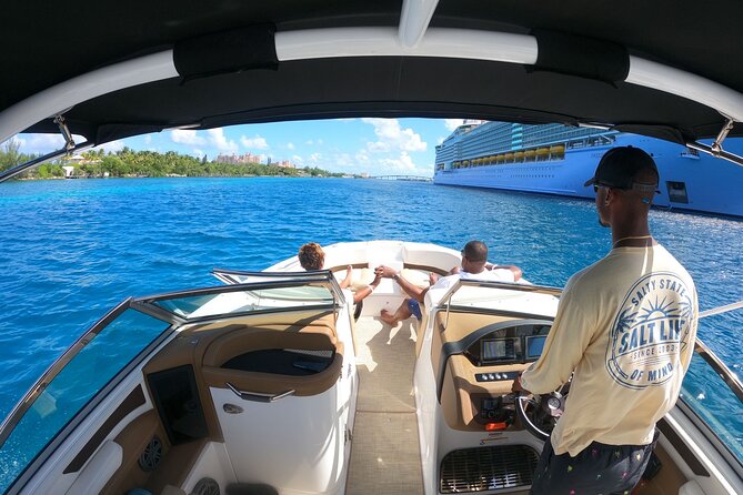 Full-Day Luxury Private Rose Island Pigs and Turtles Excursion - Why this private Nassau boat day works well