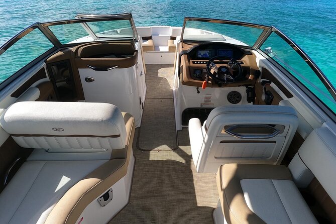 Full-Day Luxury Private Rose Island Pigs and Turtles Excursion - Green Cay and the sea turtle sighting
