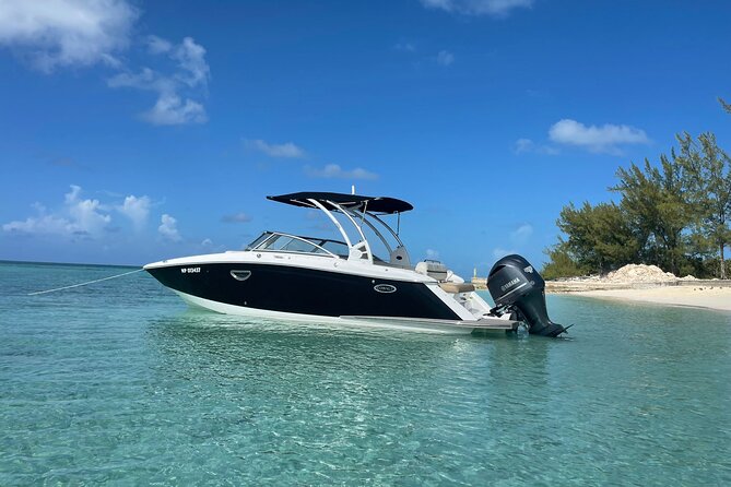 Full-Day Luxury Private Rose Island Pigs and Turtles Excursion - Bottom Harbour, Rose Island, and the pig experience