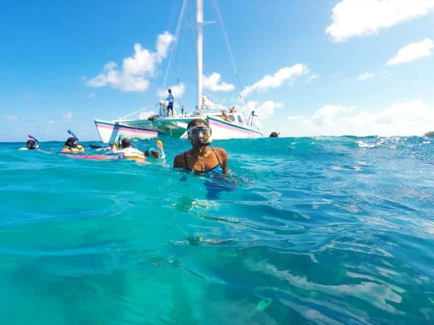 Full Day Sail and Snorkel with Turtles - Key points at a glance