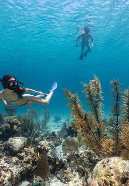 Full Day Sail and Snorkel with Turtles - Sailing through Nassau Harbor for 45 minutes