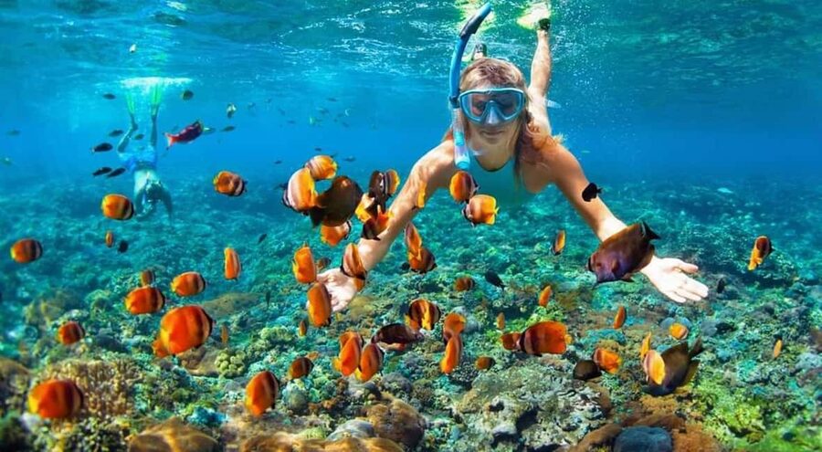 Full Day Sail and Snorkel with Turtles - Who will enjoy this trip most